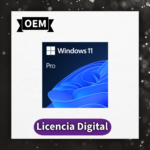 Windows 11 Pro (OEM)